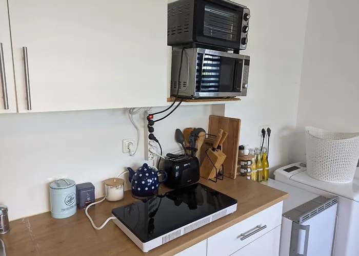 Comfortable Worker - Free Parking Daire Asten (Linz)