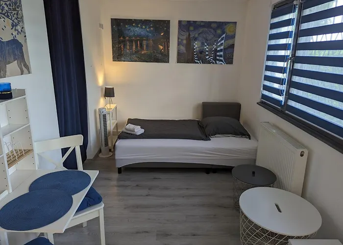 Comfortable Worker - Free Parking Daire Asten (Linz)