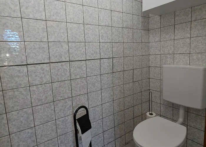 Comfortable Worker - Free Parking Daire Asten (Linz)