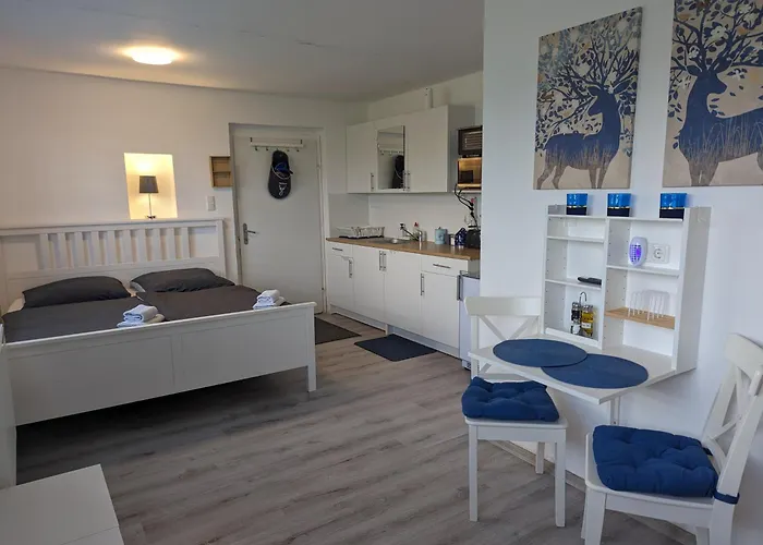 Comfortable Worker - Free Parking Daire Asten (Linz)